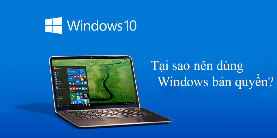 Tư vấn mua Windows 10 bản quyền cho doanh nghiệp
