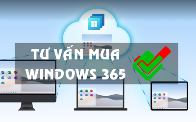 Hướng dẫn mua Windows 365 bản quyền cho doanh nghiệp