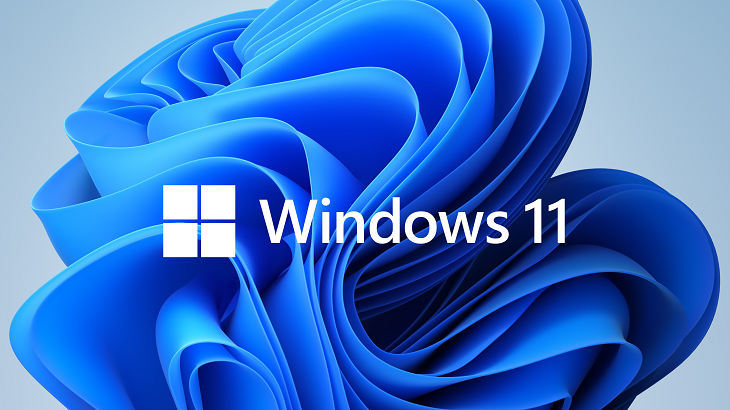 Hình thức cấp phép bản quyền Windows 11