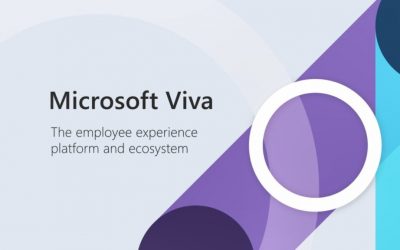 Microsoft Viva là gì? Lợi ích mang lại cho doanh nghiệp