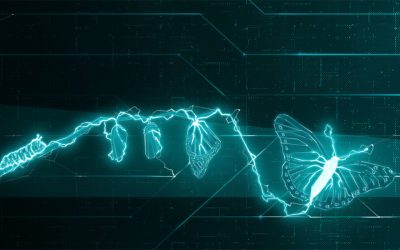 ESET PROTECT 10.1 và 11.0 sắp khai tử (EOL) – Doanh nghiệp cần chuẩn bị gì?